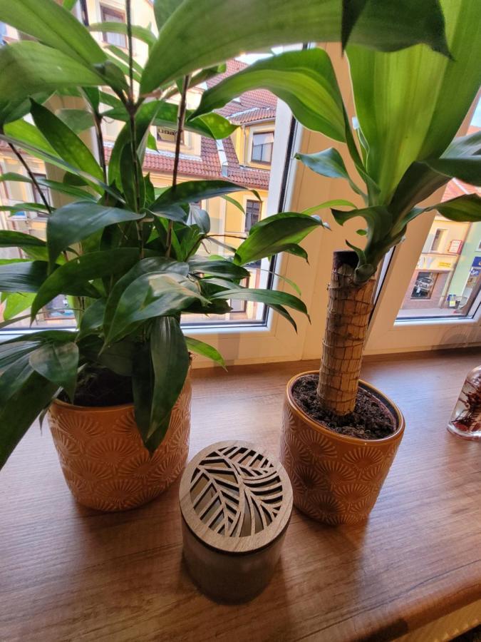 BoleslaviaApartments - Apartament Starówka Boleslawiec  Zewnętrze zdjęcie